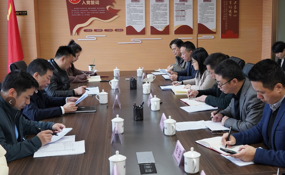 市国资委向导赴再担保公司开展调研指导